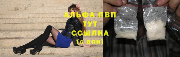 крисы Аркадак